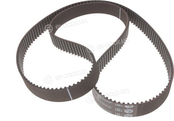 Gates K02T257