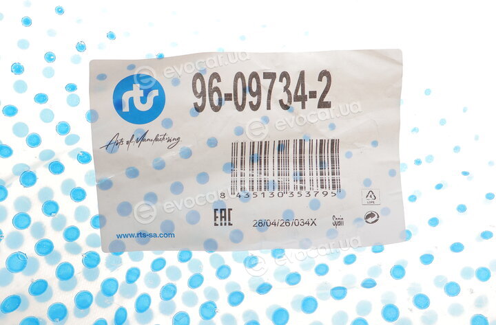 RTS 96-09734-2