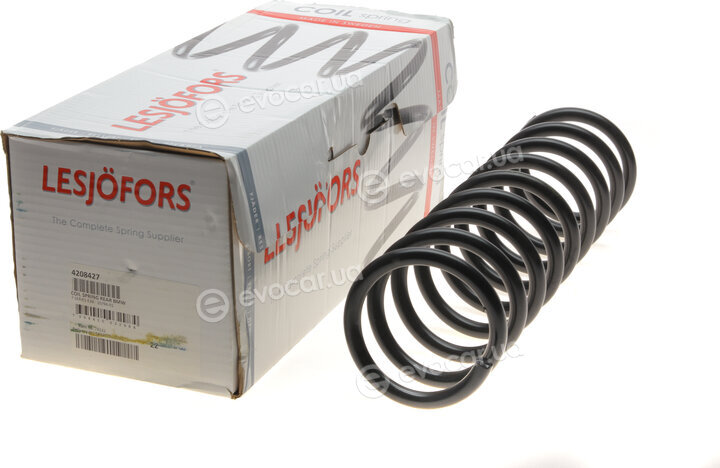 Lesjofors 4208427