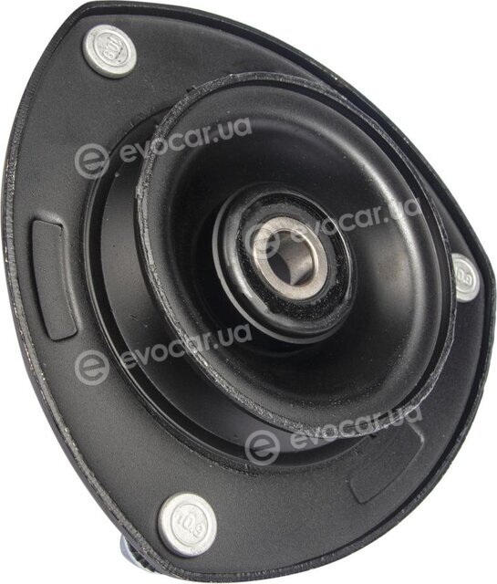 Raiso RC05295