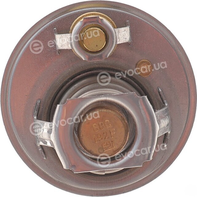 Motorad 561-88K