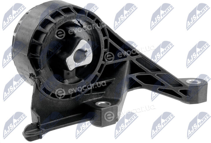 NTY ZPS-PL-005
