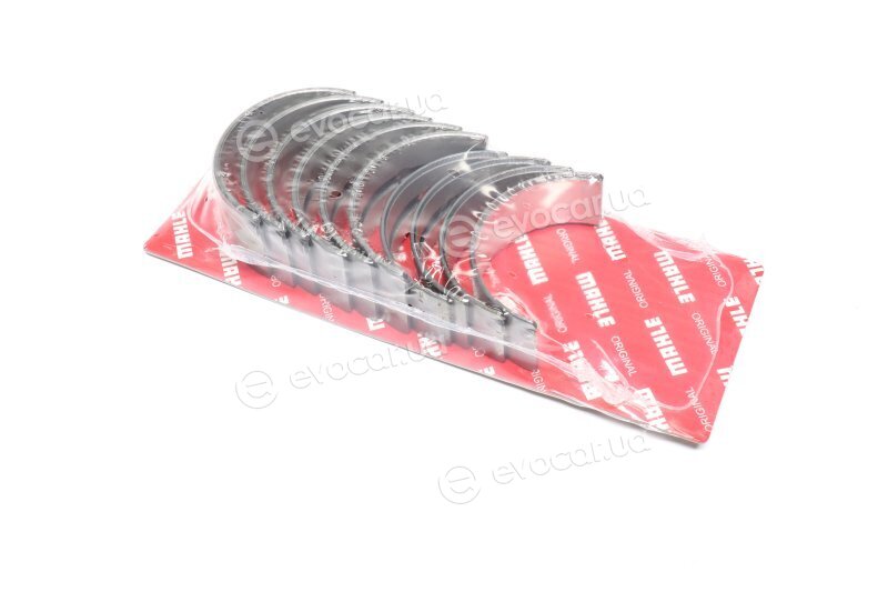 Mahle 039 HS 10075 050