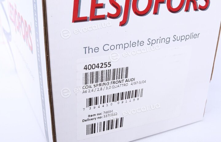 Lesjofors 4004255