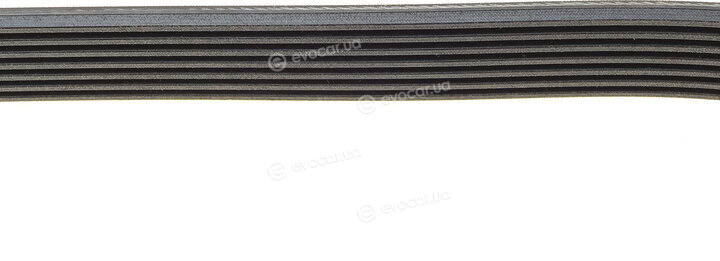 Continental 7PK1741