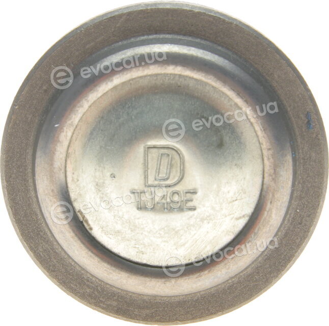 Delphi TC1306
