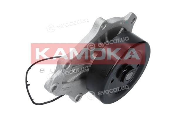Kamoka T0176