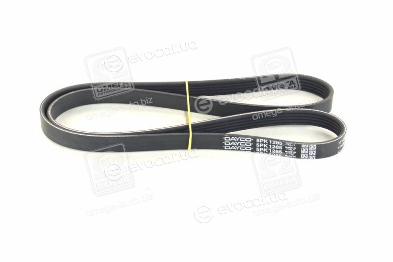 Dayco 5PK1285