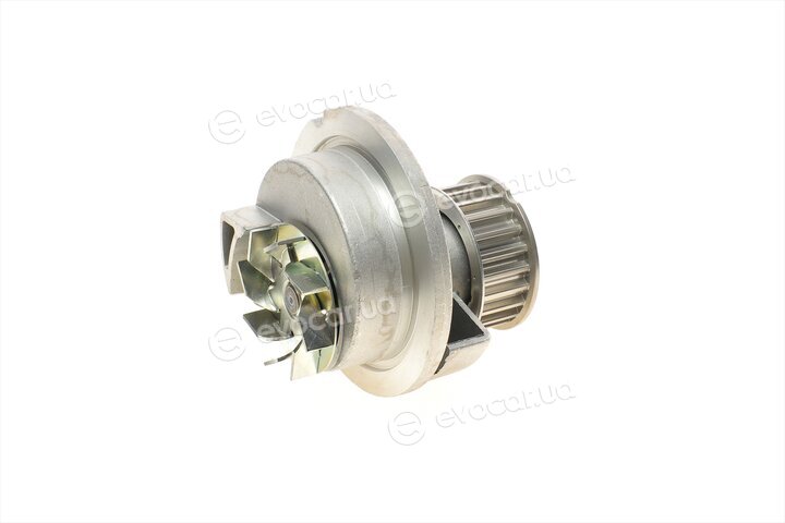 Continental CT975WP2