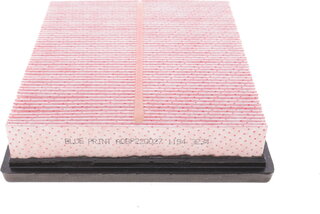 Blue Print ADBP220027