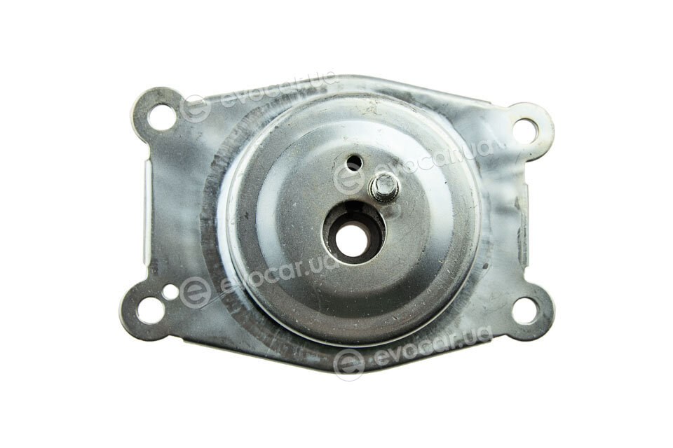 NTY ZPS-PL-031