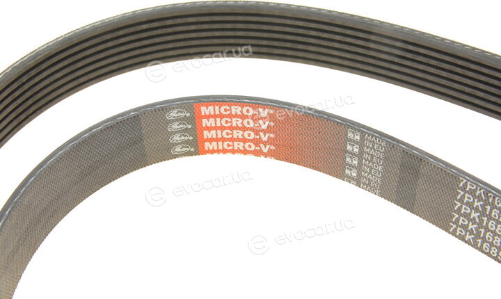 Gates 7PK1685