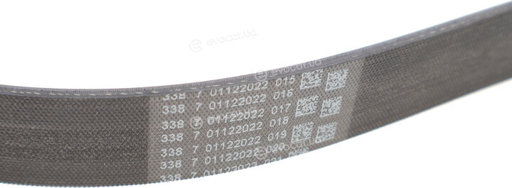 Continental 7PK1119 EXTRA
