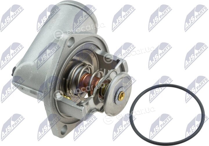 NTY CTM-PL-031