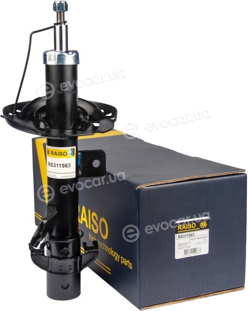 Raiso RS311983
