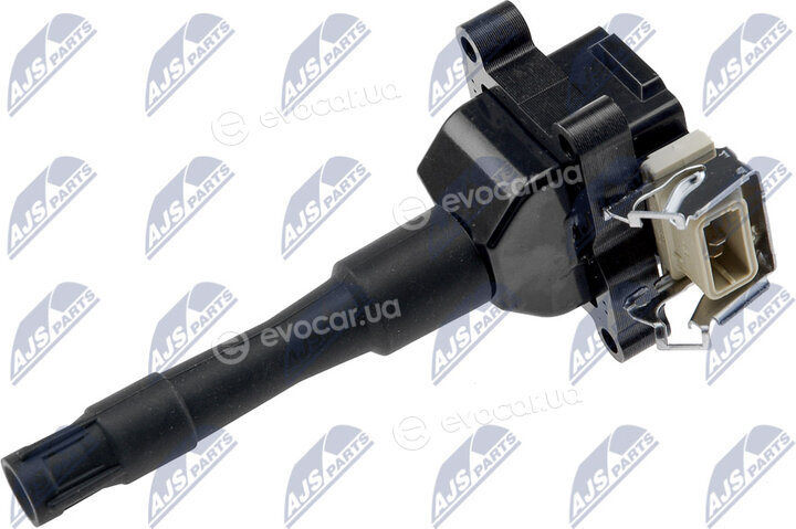 NTY ECZ-BM-010