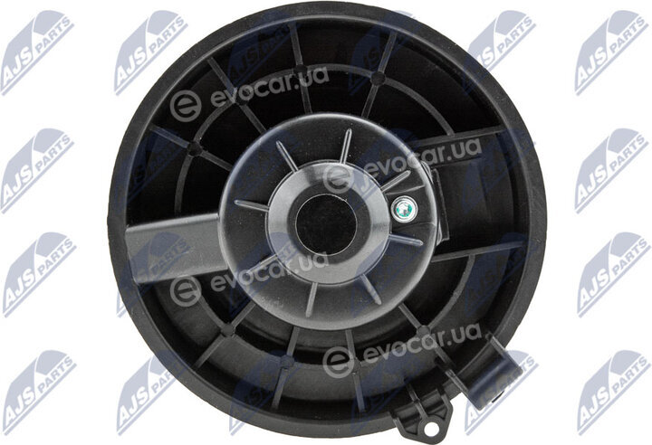 NTY EWN-NS-002