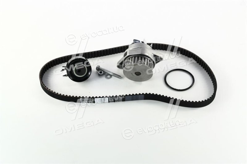 Continental CT846WP3