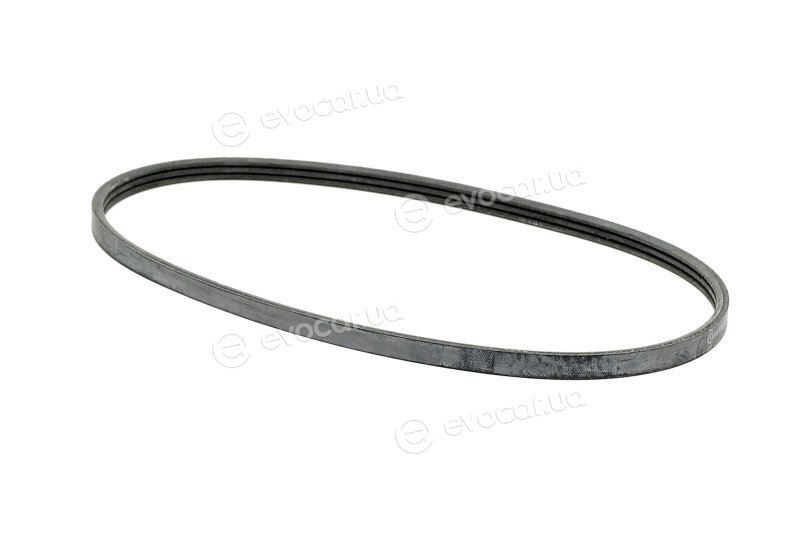 Continental 3PK725 ELAST