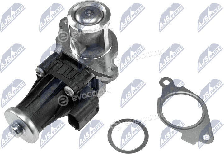 NTY EGR-PL-012