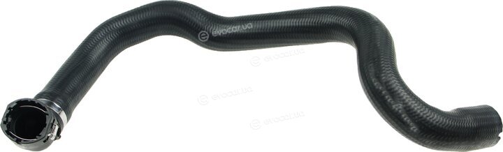 Rapro R11695