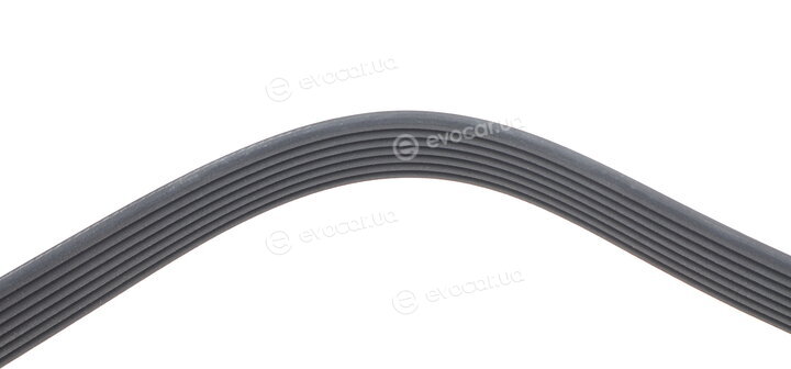Dayco 7PK1095