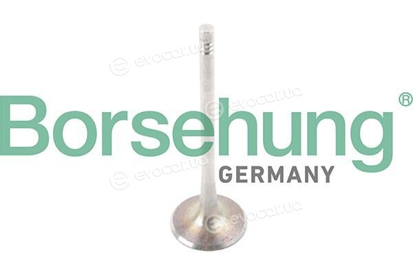 Borsehung B13244