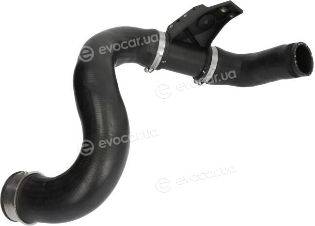 Thermotec DCY005TT