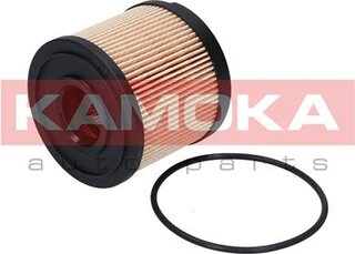 Kamoka F305101