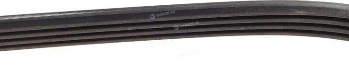 Dayco 4PK725