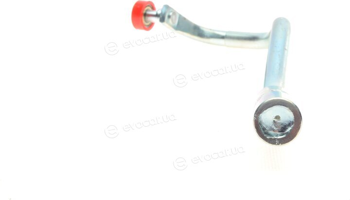 Solgy 306126