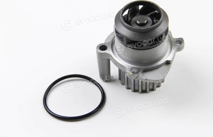 BGA CP3342