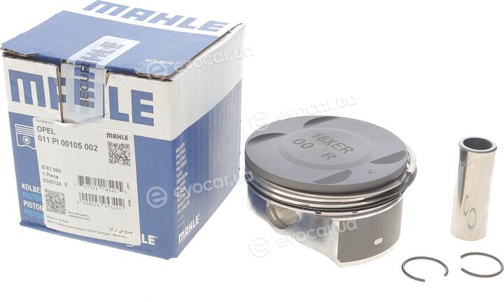 Mahle 011 PI 00105 002