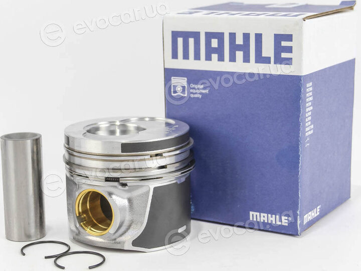 Mahle 030 66 02