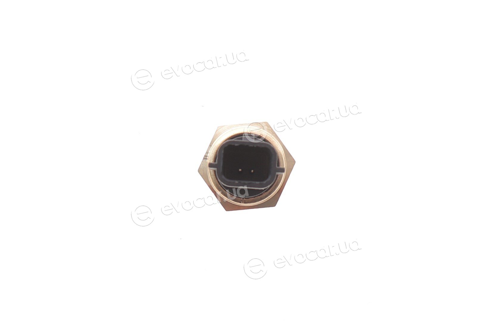 Magneti Marelli 171916011470