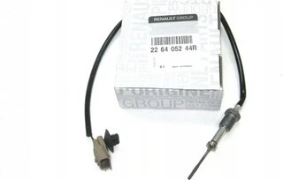 Renault / Nissan 226405244R