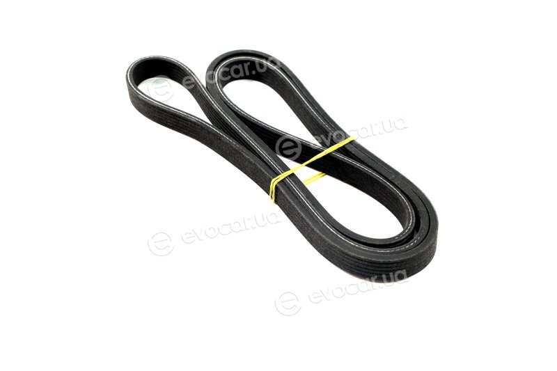 Dayco 6DPK1840