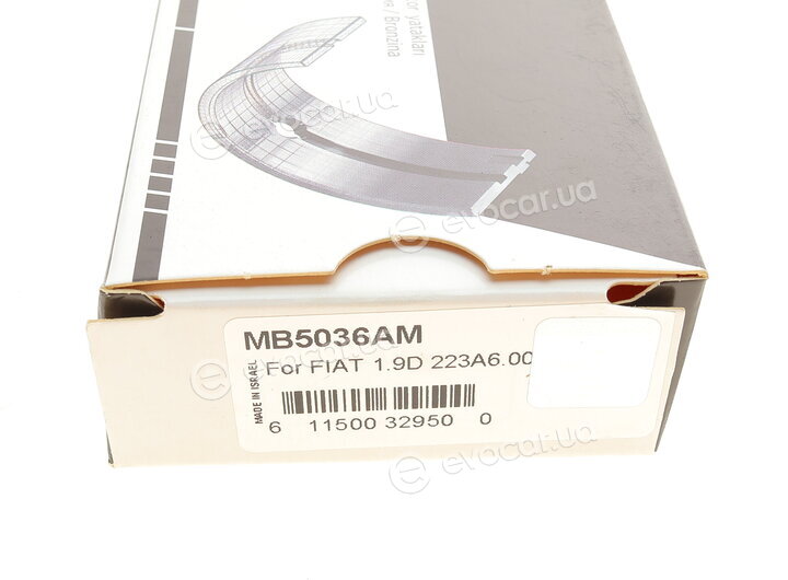 King MB5036AM