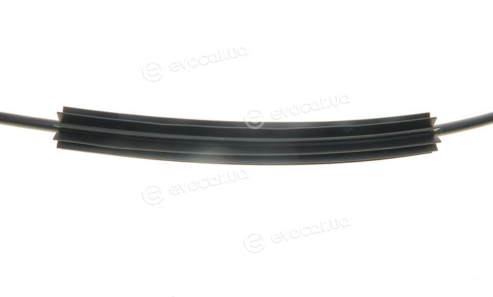 Borsehung B11515