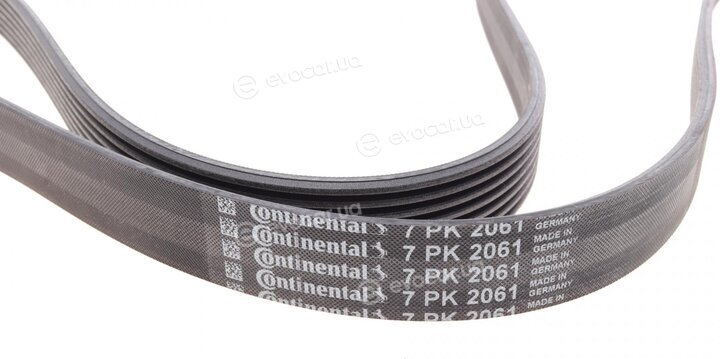 Continental 7PK2061