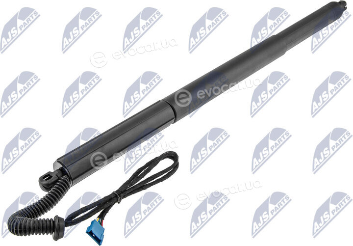 NTY AE-BM-081
