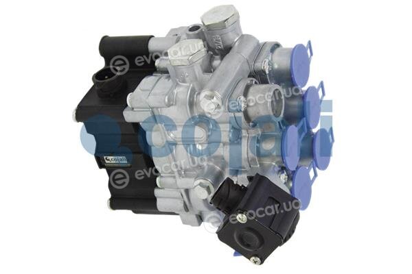 Cojali 2209402