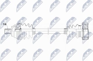 NTY NPW-VW-067