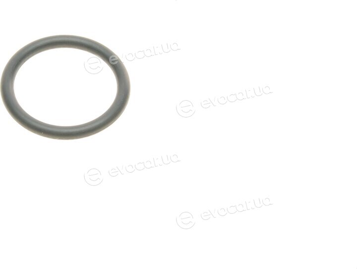 Elring 550.310