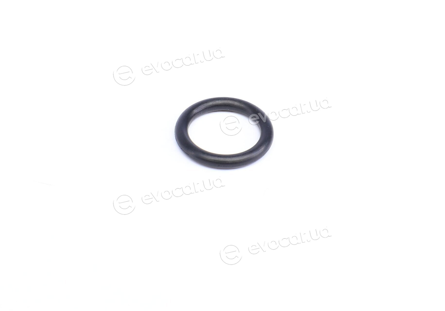 Solgy 102041