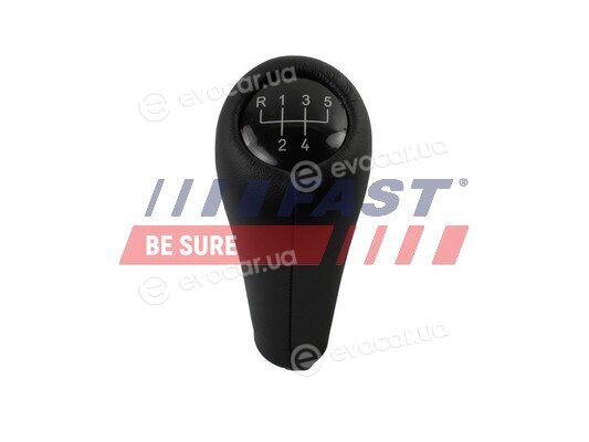 Fast FT09039