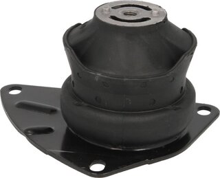 Reinhoch RH11-0026