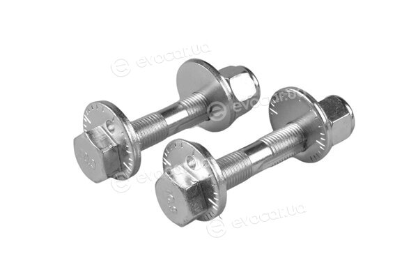 Tedgum TED43962