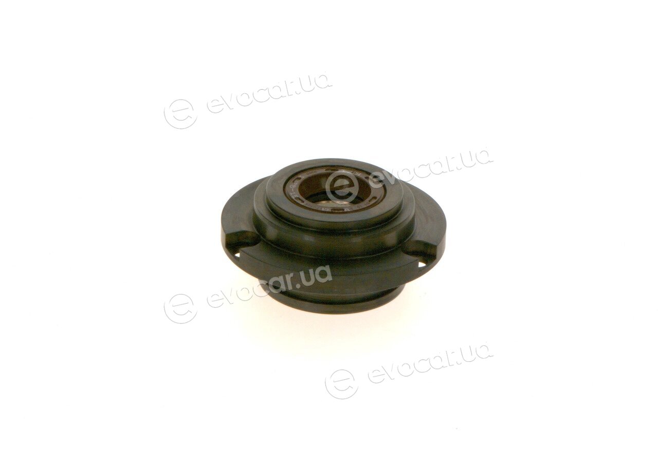 Bosch F 01M 101 215