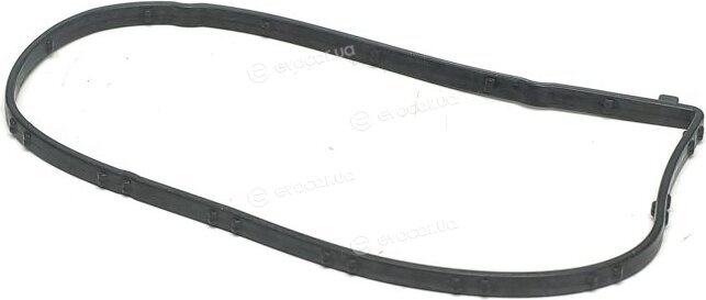 Elring 031.990